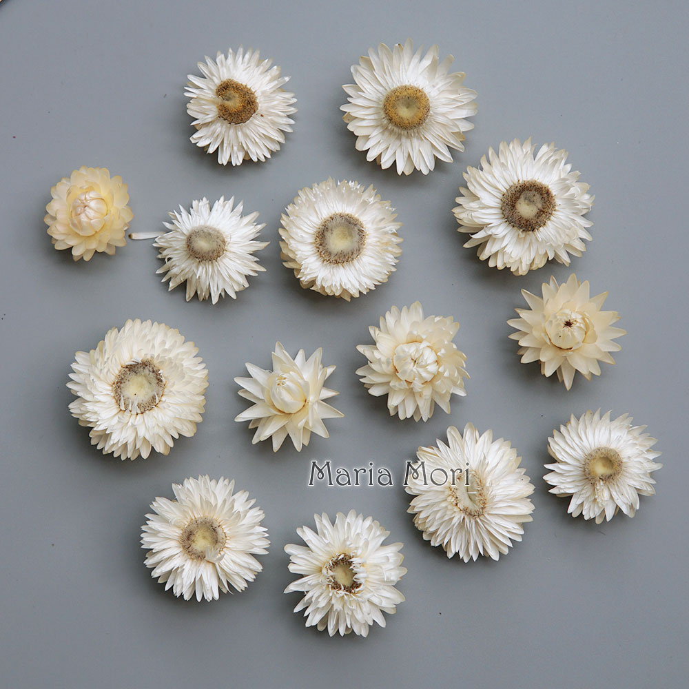 天然のドライでカラフルな菊の花輪,手作りのヘアアクセサリー, - Candle Making Uk のレビューと価格