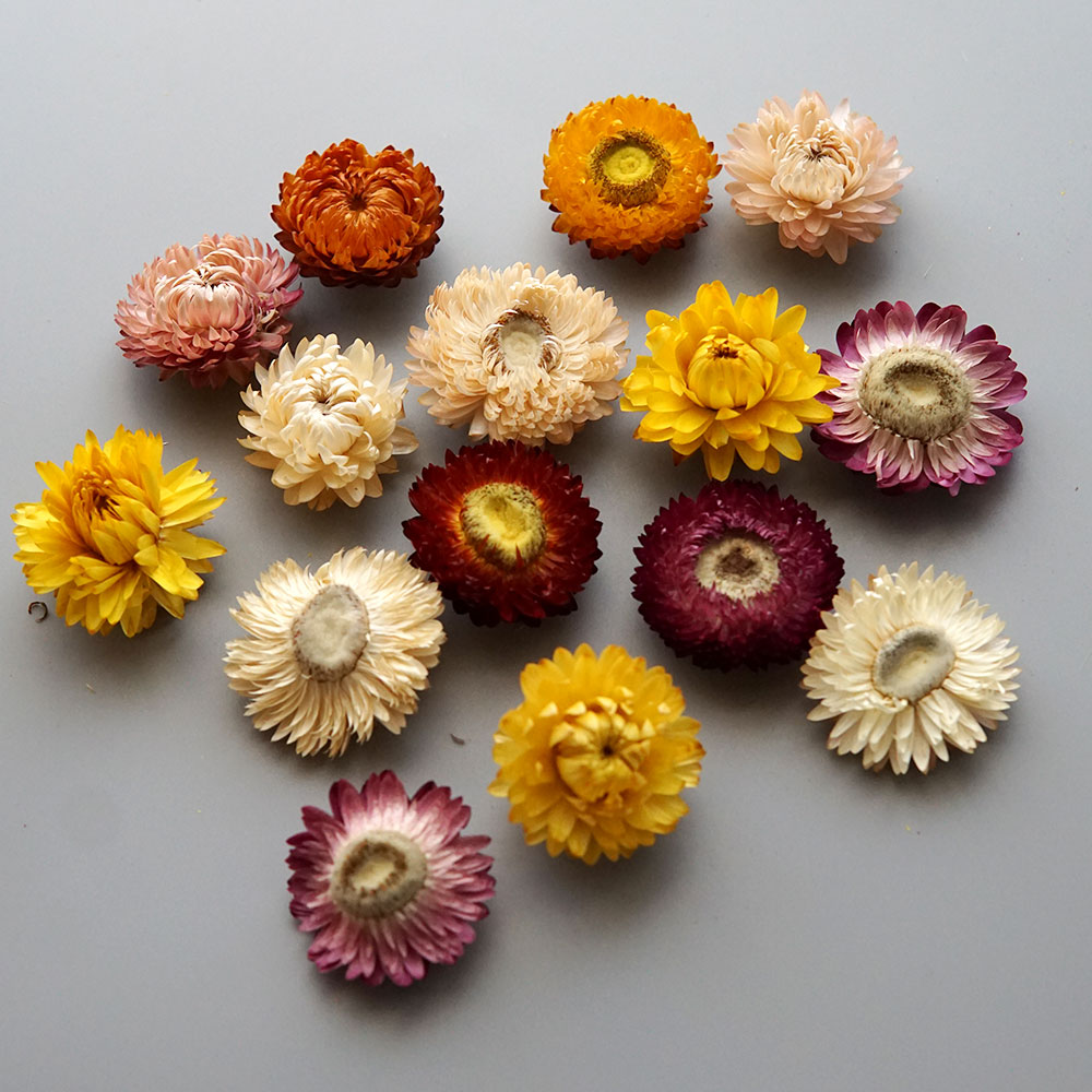 天然のドライでカラフルな菊の花輪,手作りのヘアアクセサリー, - Candle Making Uk のレビューと価格