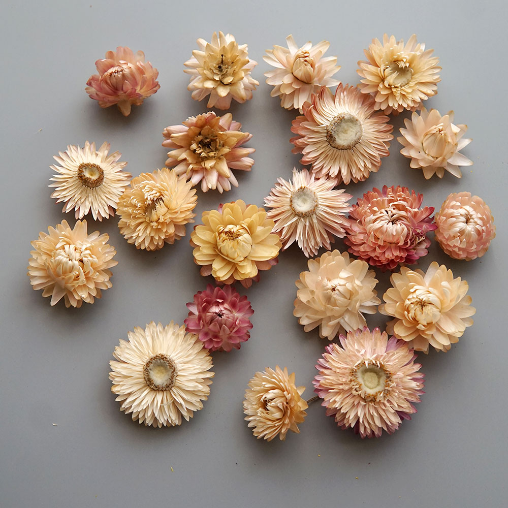 天然のドライでカラフルな菊の花輪,手作りのヘアアクセサリー, - Candle Making Uk のレビューと価格
