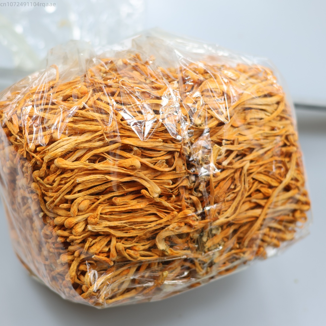 250 グラム/500 グラムプレミアム天然乾燥冬虫夏草の花 - Candle Making Uk のレビューと価格