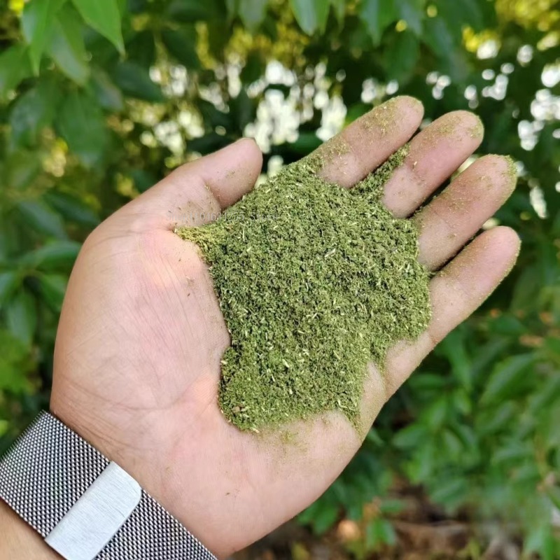 500g/袋 チベット産純天然粗/細サイプレス粉末 家庭用室 - Candle Making Uk のレビューと価格