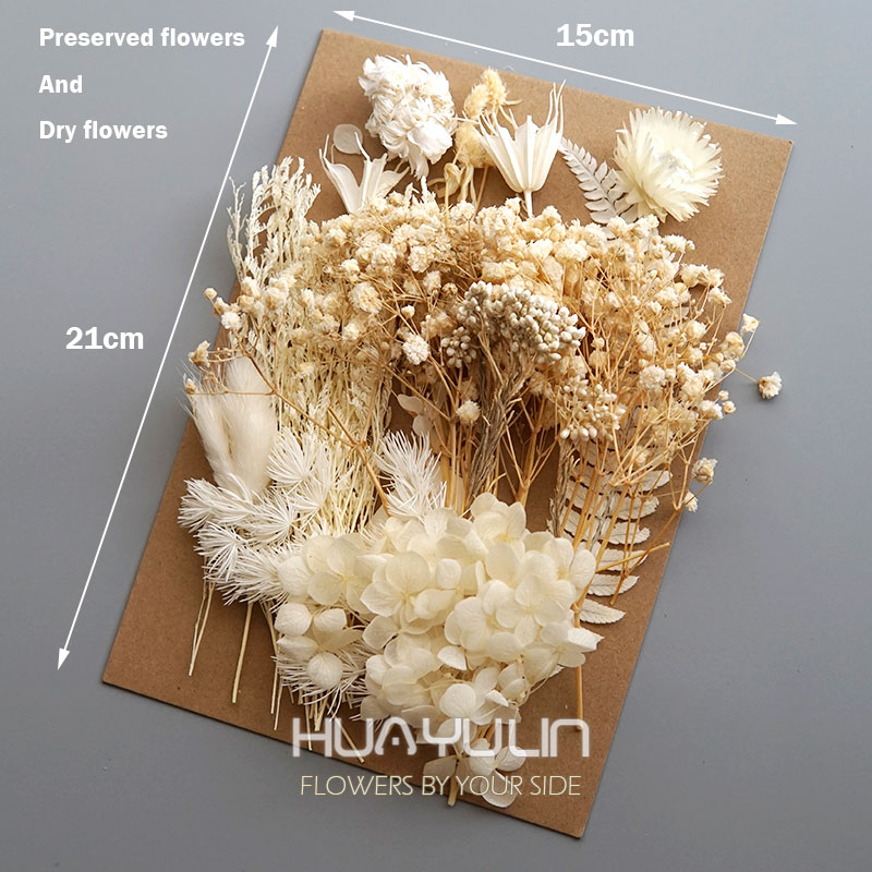 1 パック人工植物ドライ本物の花プリザーブド材料エポキシ樹脂 - Candle Making Uk のレビューと価格